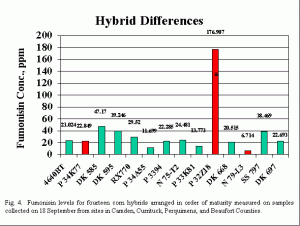 Fumonisin levels for fourteen corn hybrids arranged in order of maturity